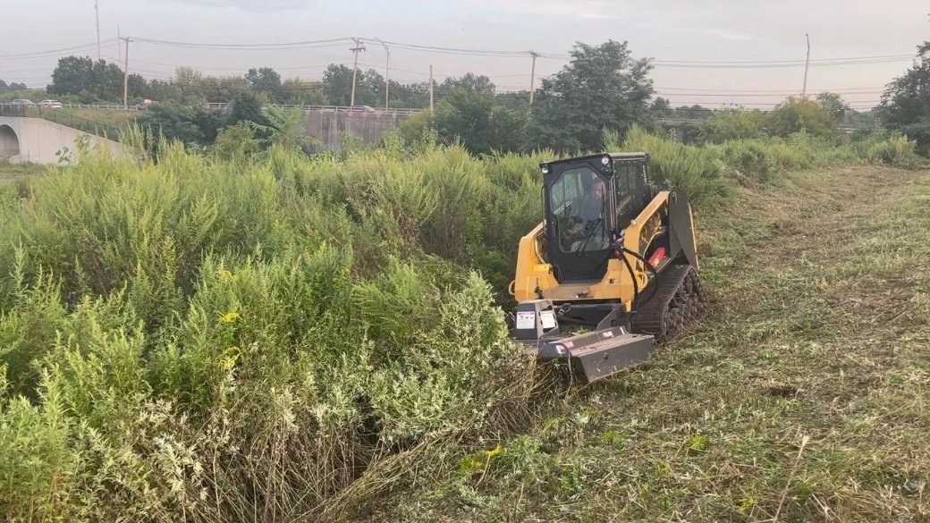 Cleared brush lot
