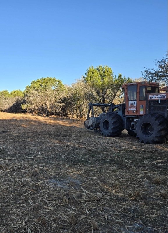 Cleared lot after land clearing